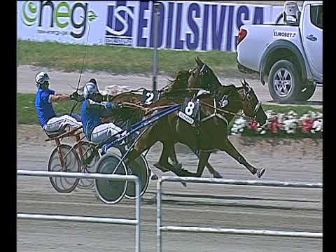 Trotto 29/04/2018 - 5ª corsa - Speed Race