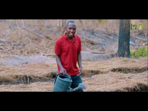 @Peter Msechu-Balozi wa miundombinu akiitangaza TORITA