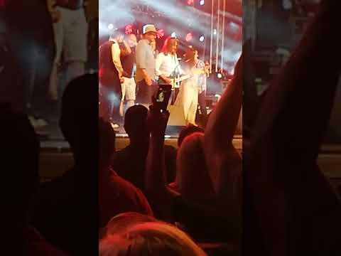 In memoriam Florian Pittis - Vinovații fără vină