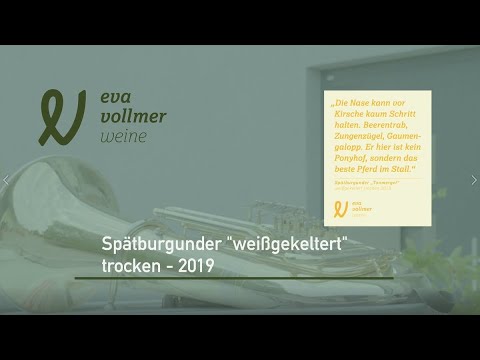 Fernprobe - Spätburgunder Weissgekeltert Trocken 2019