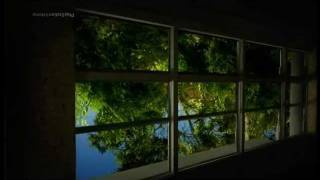 Chamillionaire - When Ya On ft. Nipsey H