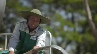 Download lagu Djarum Trees For Life mp3