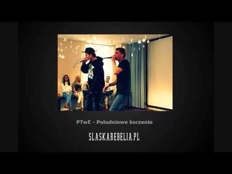 PTwE - Południowe korzenie [Śląska Rebelia vol.1]