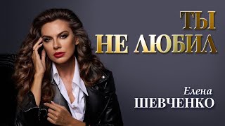 Елена Шевченко – Ты не любил (Single, 2025)