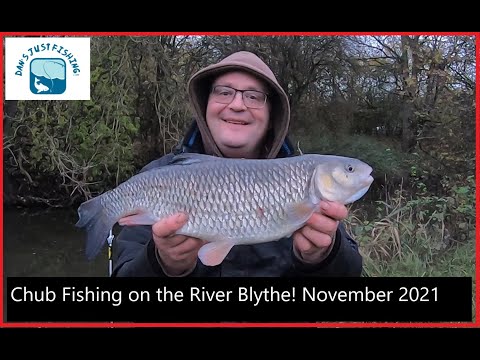 Chub Fishing on The River Blythe! Plus Bonus Perch! Includes previous footage of near 7lb Trout!!
