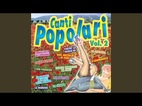 Come porti i capelli bella bionda