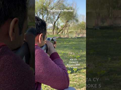 12 Gauge Ammo Pattern Test #hunting #shotgun