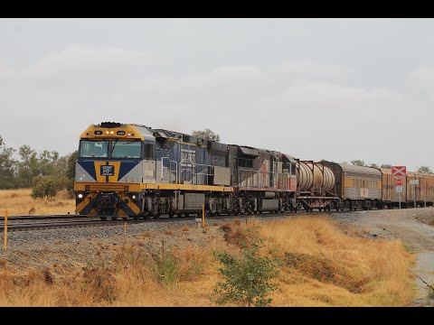 CF4403 & SCT010 lead 4GP1