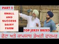 SMALL & SUCCESSFUL DAIRY FARM | PART 3 | WITH TOP JERSEY BREED | AULAKH DAIRY FARM| RAMPURA PHUL |