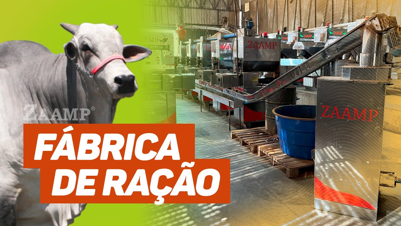 FÁBRICA DE RAÇÃO E ÓLEO DE SOJA EM ITABERAÍ-GO | 🌱 Farelo de soja ZAAMP