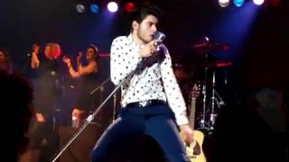 DAVID THIBAULT / Hound Dog (1)