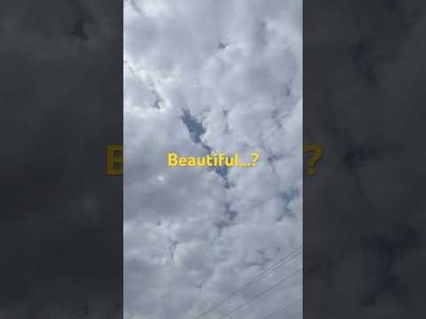 Beautiful…? #beats #ytshorts #nature #Jaswinder dhindsa