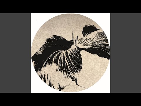 Chillin' on the 6th Floor