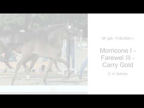 Stf v Morricone I x Farewell III x Carry Gold 2020