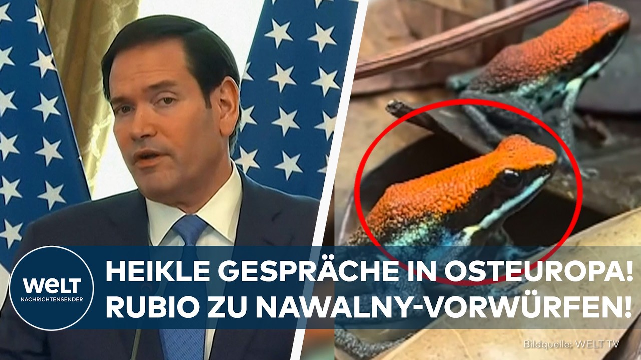 RUBIO ZU NAWALNY-VORWÜRFEN: Treffen mit Orbán und Fico! Russlandfreundliche EU-Länder im Fokus