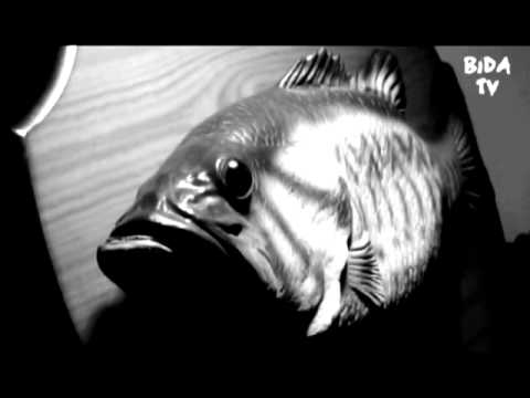 Bida Ryba 2 (Zapowiedź Koncertu Bida Skuadu)