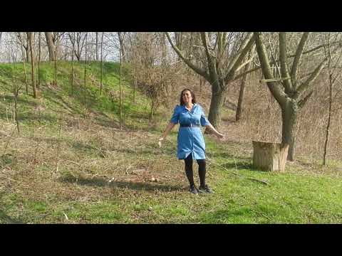 Bibo Simona-cata vreme-n tăcere(karaoke cover) muzica crestina