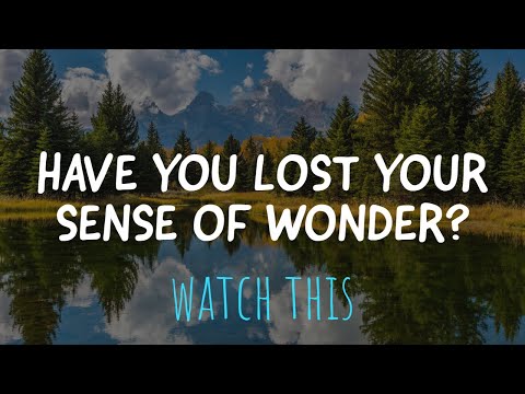 Alan Watts ~ Don't Lose Your Sense of Wonder and Curiosity!