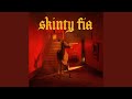 Skinty Fia