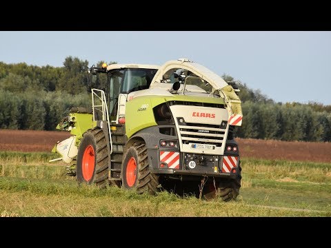 Claas Jaguar 980-type 498 - demo bij Loonbedrijf Verdurmen