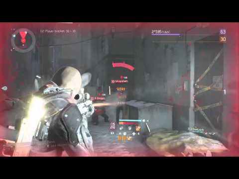 3 Rogues in 1 Mag (The Division)