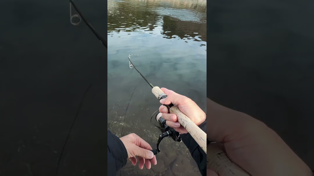 Japan Fishing ASMR - Trout Fight#92🎣