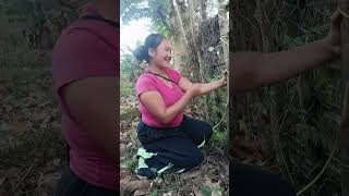 Download lagu tumhe aakho mein basaya #shortvideo #song #hindisong mp3 Download lagu tumhe aakho mein basaya #shortvideo #song #hindisong mp3