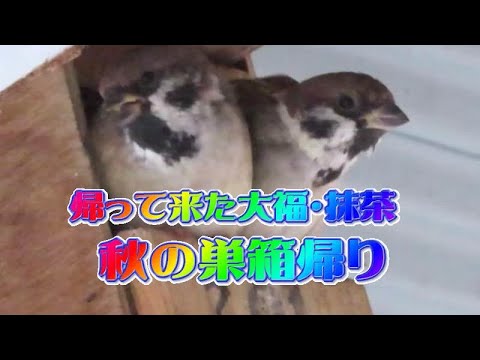 ホップと麦芽は保存されます: これら 3 つのビール アプリは本物の味わい体験を約束します