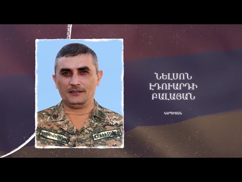 Ձեզ բացակա չենք դնի․ Նելսոն  Բալայան