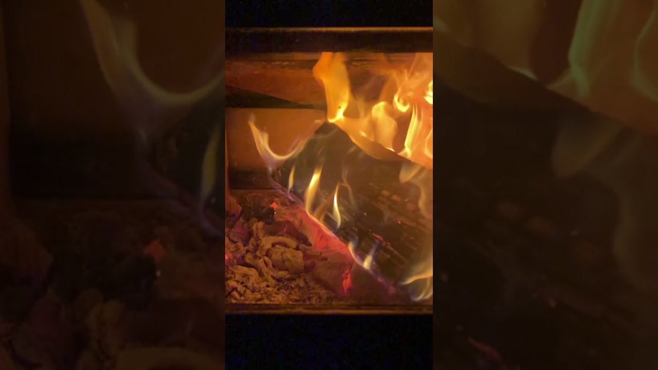 Fire short for winter 😅