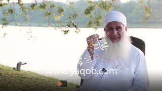 21 - الجزء الحادي والعشرون |( #قرآنا_عجبا )| الشيخ محمد حسين يعقوب image