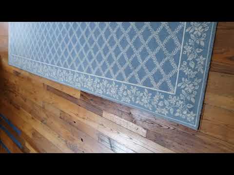 Ants Foraging from the Bathroom to the Living Room in Deal, NJ