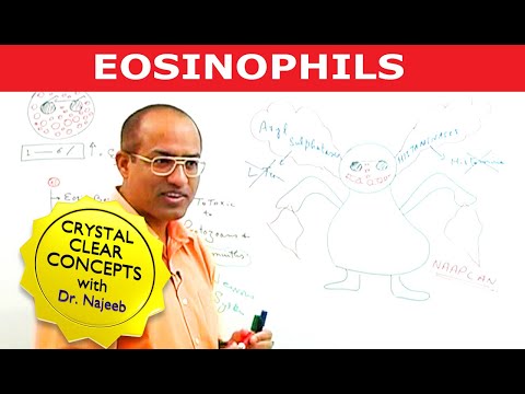 Eosinophils | White Blood cells | Immunology
