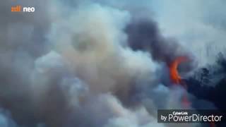 Earth Song &quot;DieLochis&quot;😍