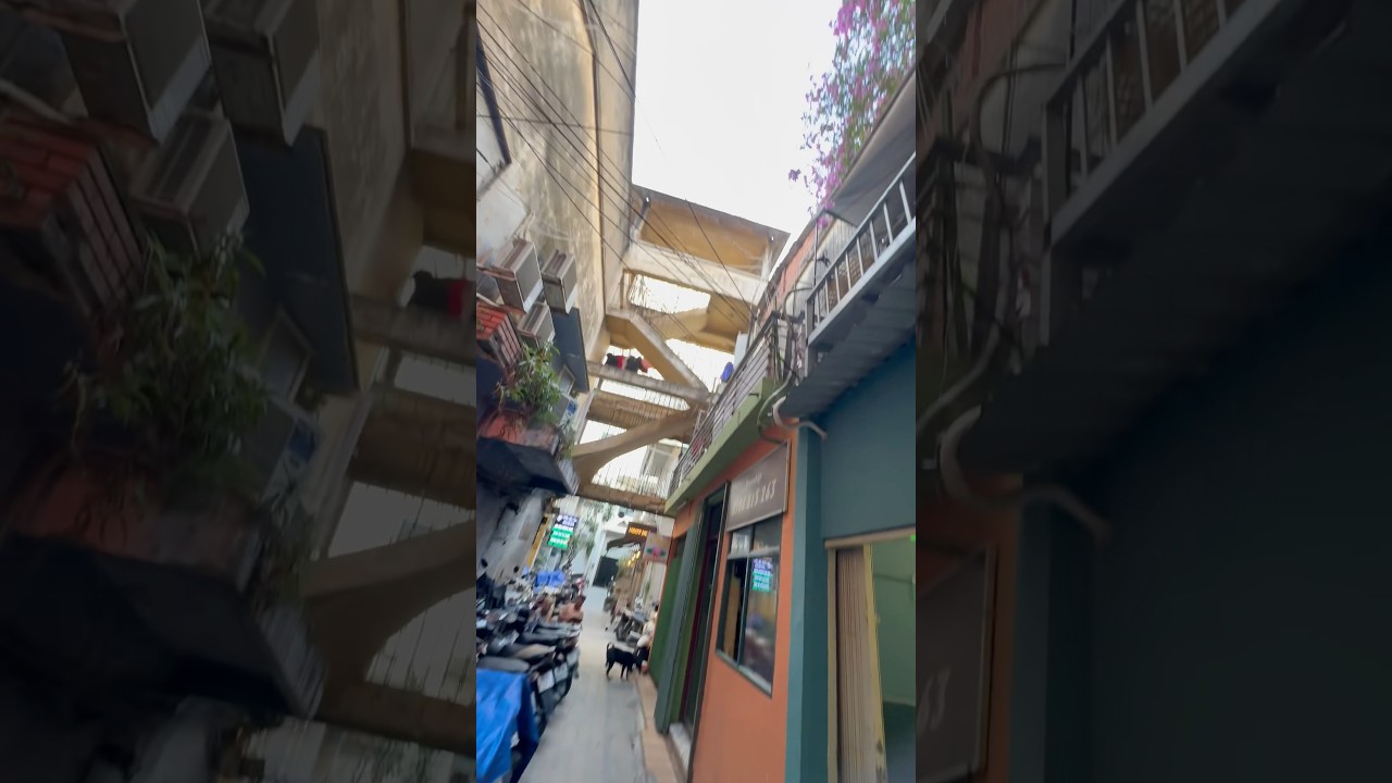 YouTube Short thumbnail