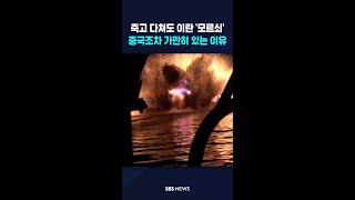 죽고 다쳐도 이란 '모르쇠'..중국조차 가만히 있는 이유 #shorts