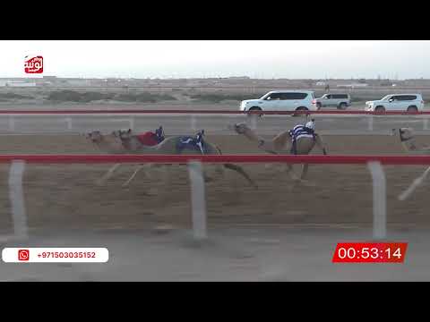  ش 1 (الشاهينيه) لـ سالم بن عبدالله بالطير 2:21 ، شارة صندوق حلفه 2026/05/10 فطامين الجبيب