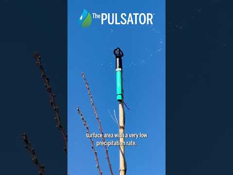 The Pulsator 205 in Action: Frost Protection for Cherry Trees in Chile