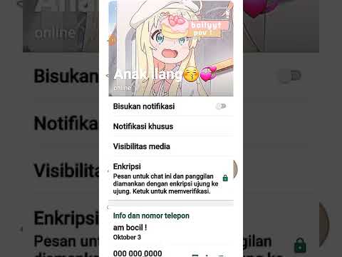 Pov : Bochil puny pp baru 🗿💅🏻 || #masukberanda #chat #whatsmock #shorts #fakechat