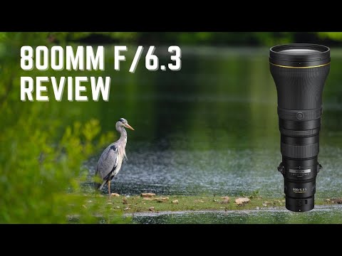 Nikon 800mm f/6.3 VR on the Z 9 - FIELD TEST