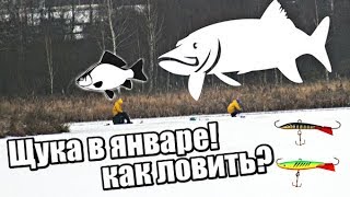 Ловля щуки в январе на жерлицы где искать
