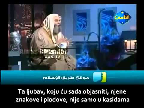 Sta bi Muhammad Hassan rekao da vidi Allahovog Poslanika.flv