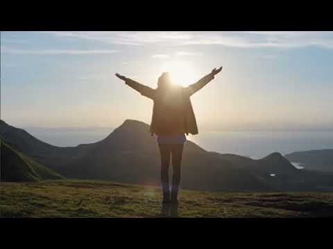 The Forest Within (Trailer)