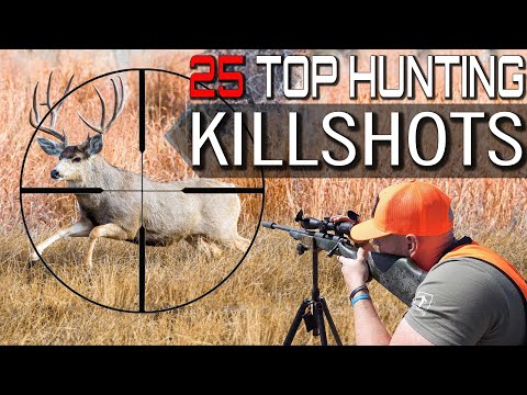 25 TOP HUNTING KILL SHOTS