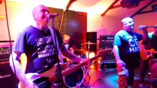 Peter and the Test Tube Babies - Peachaven Wild Kids (Live)