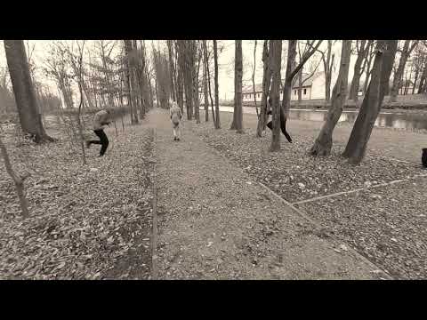 Nigdy nie chodźcie sami lasem