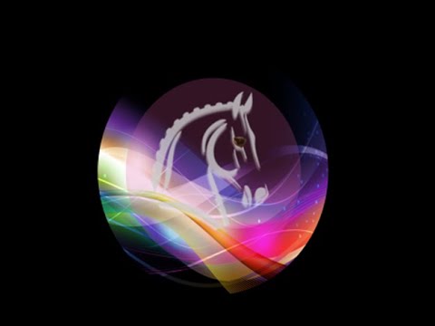 211023 WEC CDI CAVALIA JH VICTORY LAP