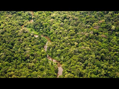 [2]C Ecohydroclimatological research:  The case for geomorphology. 2C: Ecology