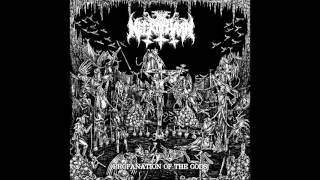 Necrochakal - In The Name Of Bestiality