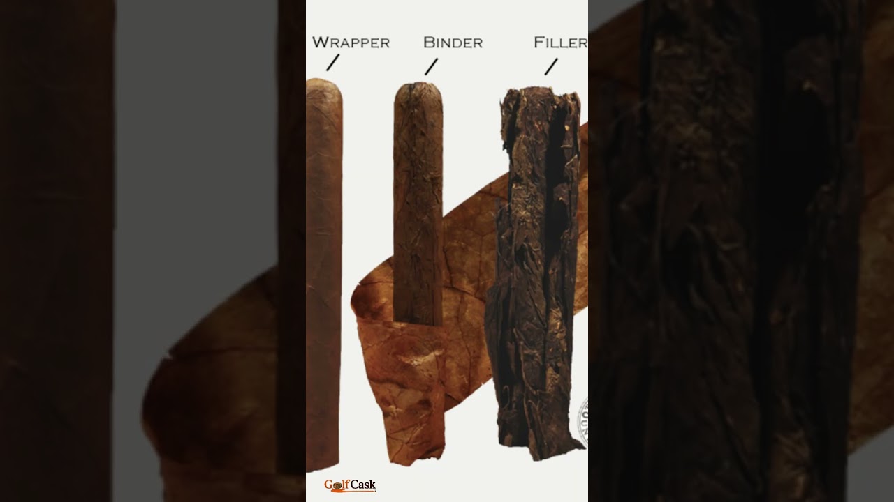 The Ash That Tells the Truth Thumbnail